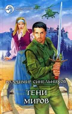 Владимир Синельников - Тени Миров