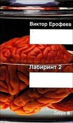 Виктор Ерофеев - Лабиринт Два: Остается одно: Произвол