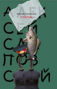 Алексей Слаповский - Участок