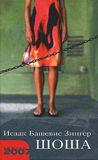 Исаак Башевис-Зингер - Шоша