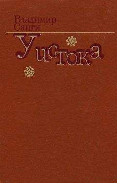 Владимир Санги - Первый выстрел