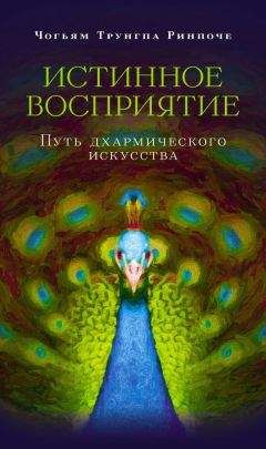 Чогьям Ринпоче - Истинное восприятие. Путь дхармического искусства