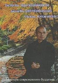 Хань Тит - Чудо осознанности