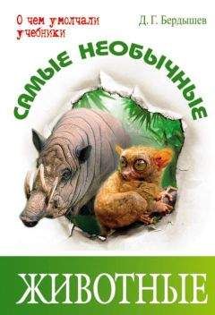 Дмитрий Бердышев - Самые необычные животные