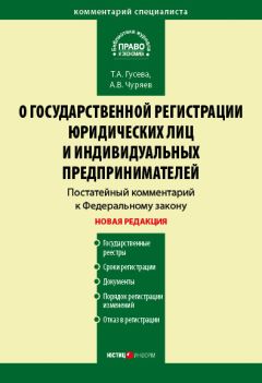 Александр Чуряев - Комментарий к Федеральному закону «О государственной регистрации юридических лиц и индивидуальных предпринимателей» (постатейный)