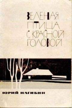 Юрий Нагибин - Я изучаю языки