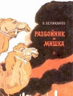 Василий Великанов - Разбойник и Мишка