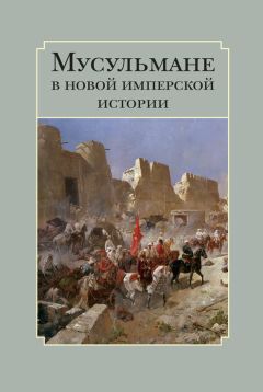Сборник статей - Мусульмане в новой имперской истории