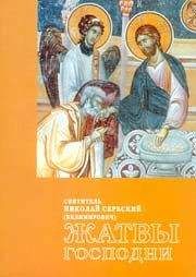 Николай Сербский (Велимирович) - Жатвы Господни