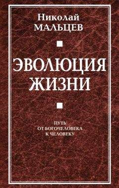 Николай Мальцев - Эволюция жизни. Путь от Богочеловека к человеку