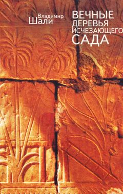 Владимир Шали - Вечные деревья исчезающего сада (сборник)