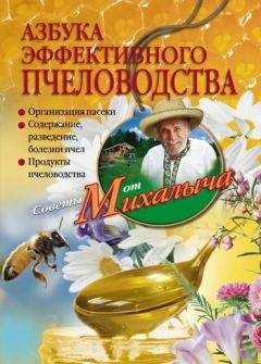 Николай Звонарев - Азбука эффективного пчеловодства