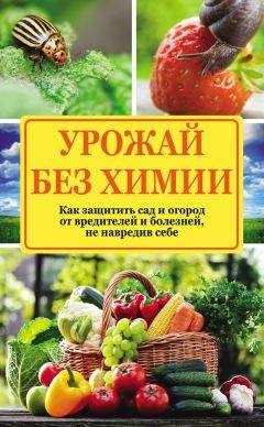 Надежда Севостьянова - Урожай без химии. Как защитить сад и огород от вредителей и болезней, не навредив себе