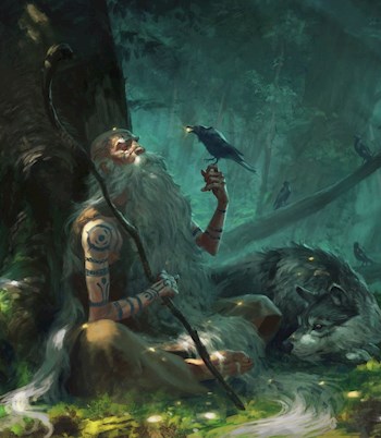 Друид, Гарри и не канон - Сергей Голдерин