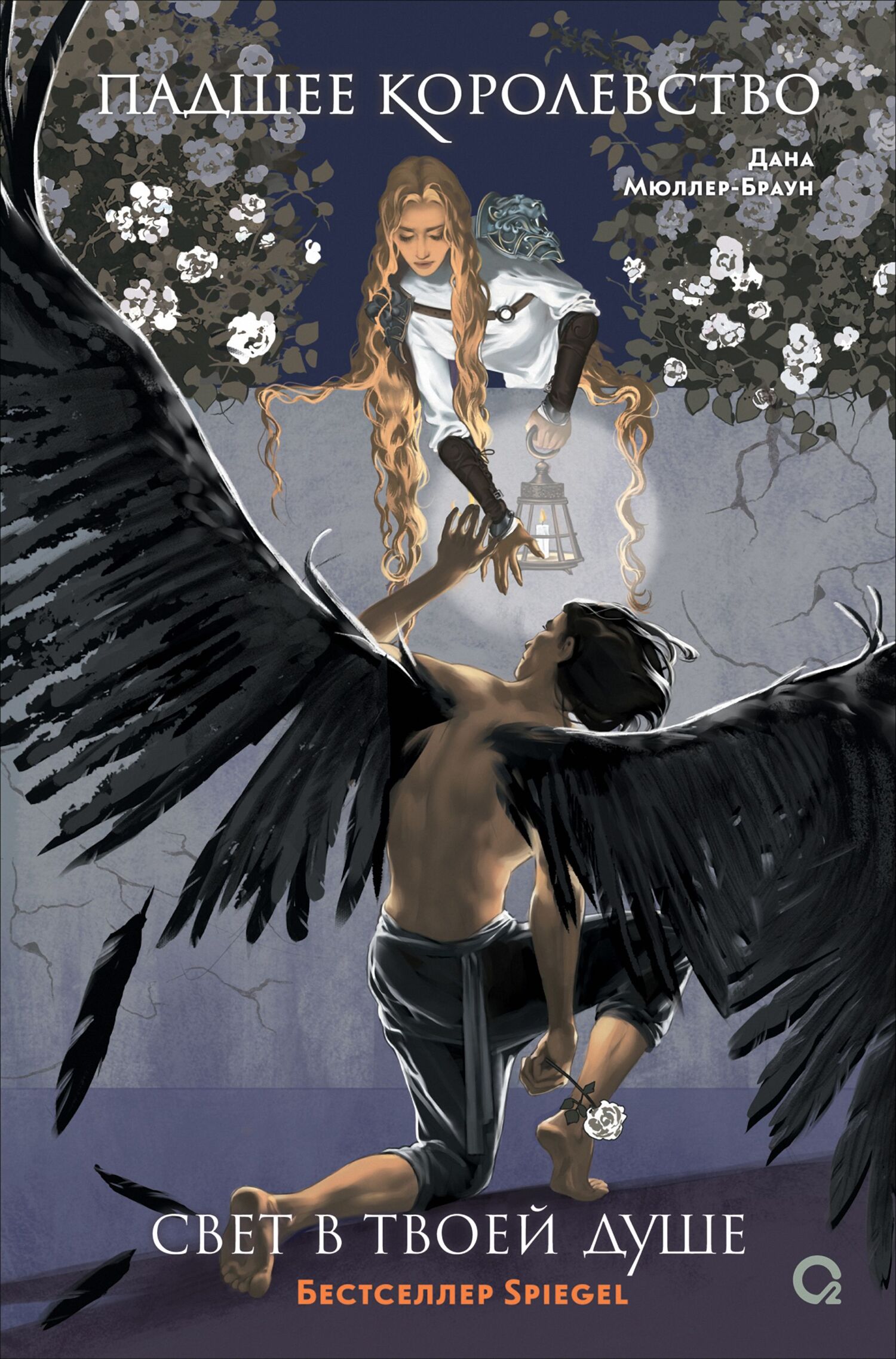 Свет в твоей душе - Дана Мюллер-Браун