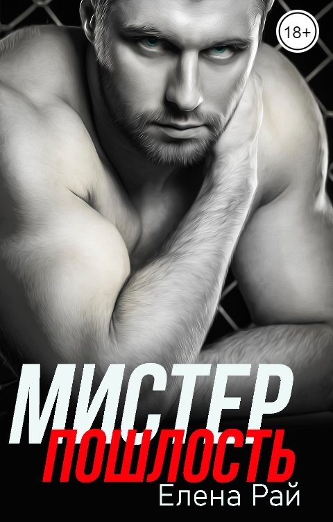 Мистер Пошлость - Елена Рай