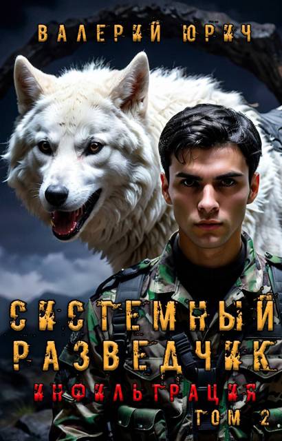 Системный разведчик. Инфильтрация. Том 2 - Валерий Юрич