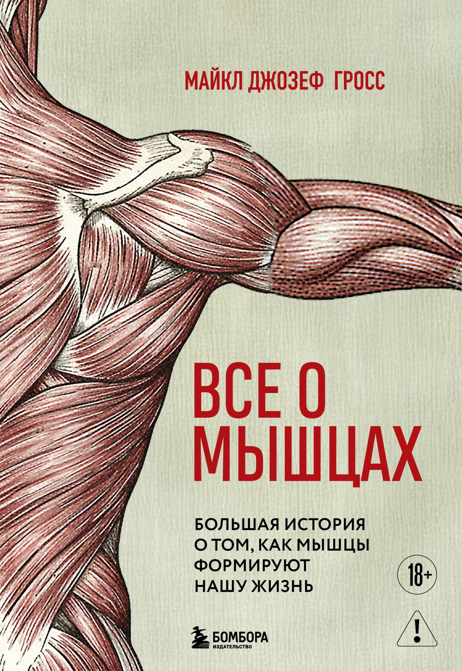 Все о мышцах. Большая история о том, как мышцы формируют нашу жизнь - Майкл Джозеф Гросс