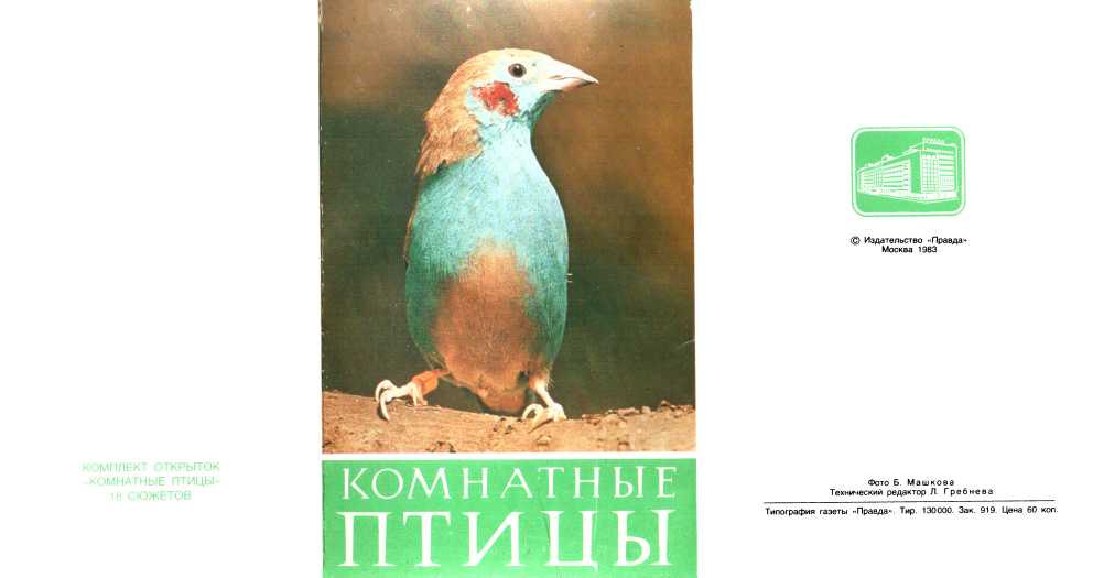 Комнатные птицы - Кирш