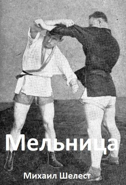 Мельница - Михаил Васильевич Шелест
