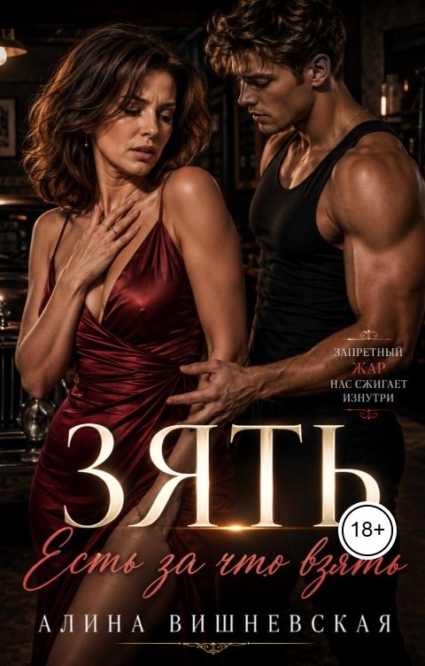 Зять. Есть за что взять - Алина Вишневская