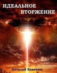 Виталий Вавикин - Идеальное вторжение
