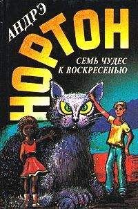 Андрэ Нортон - Волшебный дом [Магия восьмиугольного дома]
