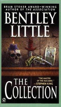 Бентли Литтл - Жужжащая обитель мух